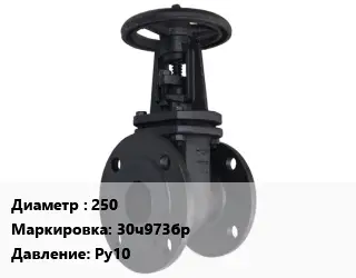 Задвижка чугунная канализационная 250 30ч973бр Ру10